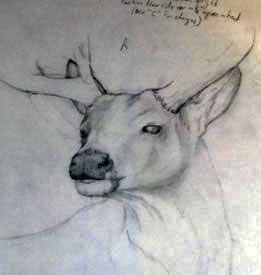 sketch2