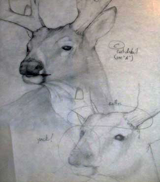 sketch3