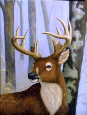 buck detail